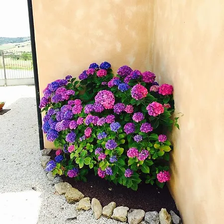 Bed & Breakfast 8380 Terme