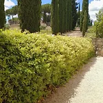 8380 Terme 3* Saturnia