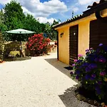 8380 Terme