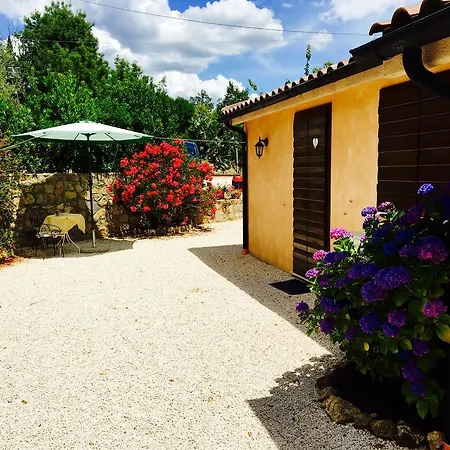8380 Terme
